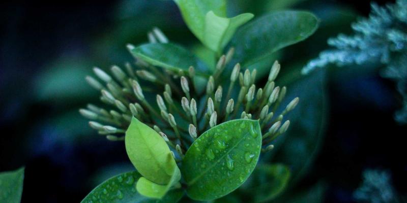 南京天翼SD-WAN组网实战:跨区域企业如何以低成本实现高灵活网络互联