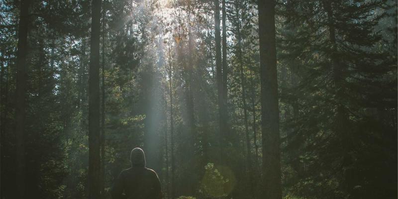 南京天翼老用户专享：企业宽带升级攻略与数据中心专属权益全解析